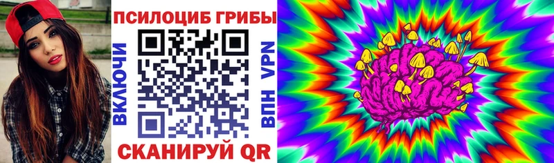 Галлюциногенные грибы Psilocybe  kraken ССЫЛКА  Вичуга 